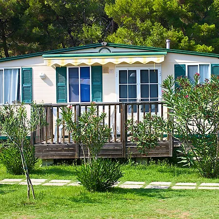 Arena Stupice Camping Homes-2